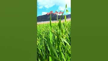 تلاوة خاشعة #القرآن_الكريم #سورة_النمل #تلاوة_عطره #اكسبلور #ترند #foryou