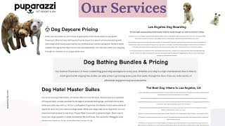 Dog Daycare Los Angeles