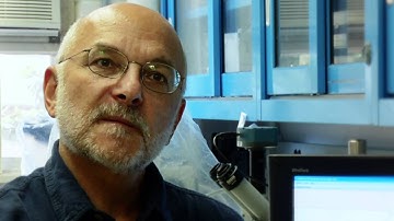 NC State University Beating Bed Bugs