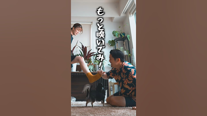 少し変わってる、我が家の夫婦喧嘩。　　　#shorts