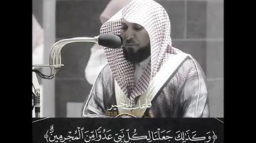 تلاوة مؤثرة للقارئ ماهر المعيقلي .😭💔 #ماهر_المعيقلي #ماهرالمعيقلي #قرآن #قران