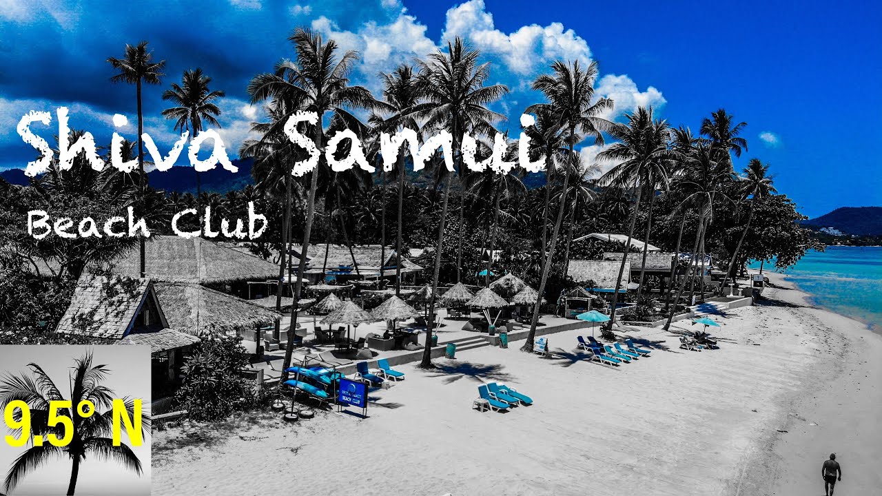 Shiva Samui Beach Club Tropical Island Beach Club YouTube shiva-samui-beach-club-tropical-island-beach-club-youtube