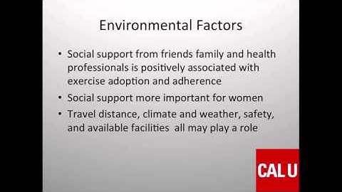 FIT 380 Module 5 Chapter 8