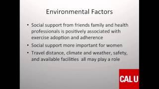 FIT 380 Module 5 Chapter 8 News