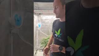 Round 2 of training our plant.