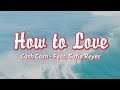 How To Love - Cash Cash feat. Sofia Reyes (Lirik Terjemahan Indonesia)