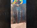 7018 welding #stickwelding #anuptechmane #arcwelding #welder