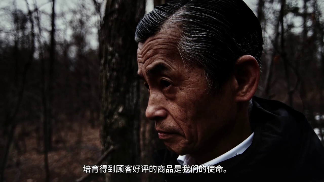 THE JOURNEY OF “杢-Moku” : Chap #01 “Woods” 中国語版 - YouTube