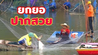 หนองนี้มีปลาบึกใหญ่ให้ลุ้น ยกยอปากสวย โพนพิสัย หนองคาย