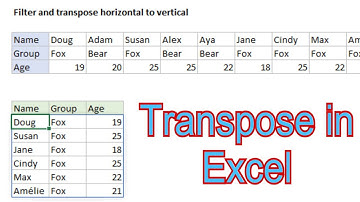 How to Transpose in Excel from Horizontal to Vertical - link vertical data to horizontal in excel