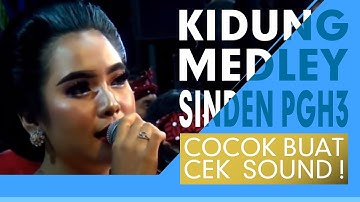 KIDUNG MEDLEY SINDEN MUDA PGH3 - Voc. Nisa  , Ibing Anoman & Semar [HD AUDIO]