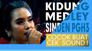 KIDUNG MEDLEY SINDEN MUDA PGH3 - Voc. Nisa  , Ibing Anoman & Semar [HD AUDIO]