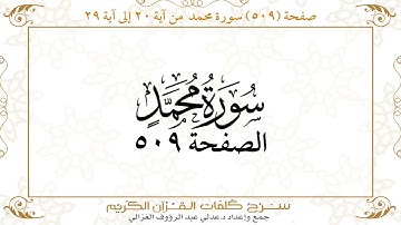 صفحة 509 سورة محمد من آية 20 إلى آية 29