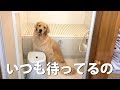 一緒にお風呂に入りたいわん My honey waiting for shower..but you already done.