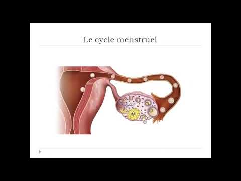 Vidéo: Tubercules De Montgomery: Définition, Pendant La Grossesse, But, Etc