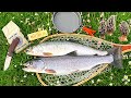 GIANT Cutthroat Trout Catch & Cook, SPEARFISHING & LIGHTNING!!!