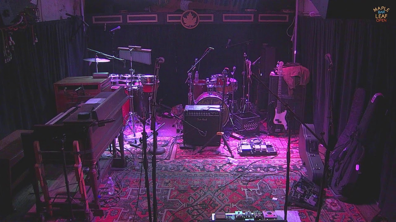 Carter Wilkinson & Friends - 11/16/2024 - Maple Leaf Bar Live