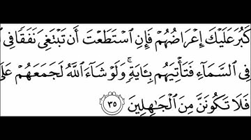 سورة الانعام بتلاوة خالد الجليل