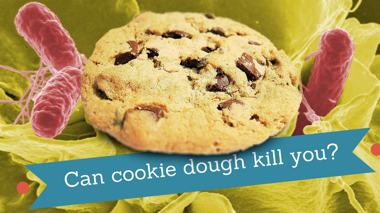 What is Salmonella? YouTube