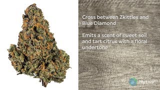 Strain Review: Blue Zkittlez