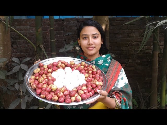 Delicious Egg Potato Curry Recipe | Healthy & Tasty Bengali Food | Prepared By Street Village Food