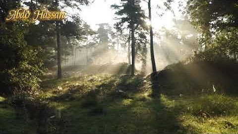 ما تيسر من سورة النمل القارئ (معاذ العيد)