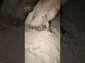 crunchy chalk crumbling #asmrsounds #chalkasmr #crunchycrumbles #oddlysatisfying #youtubeshorts