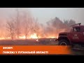 Пожар на Луганщине | Видео пожара в Луганской области | Что происходит на Луганщине сегодня