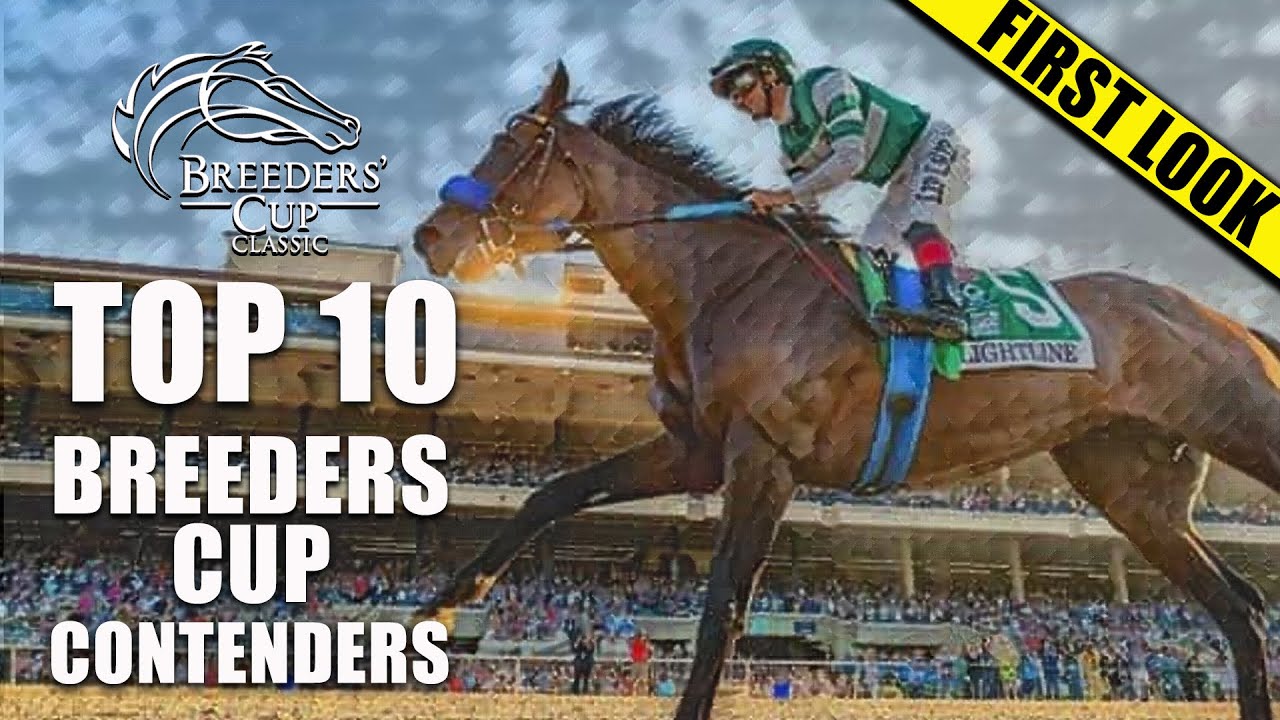 TOP 10 2022 BREEDERS' CUP CLASSIC CONTENDERS FIRST LOOK ROAD TO