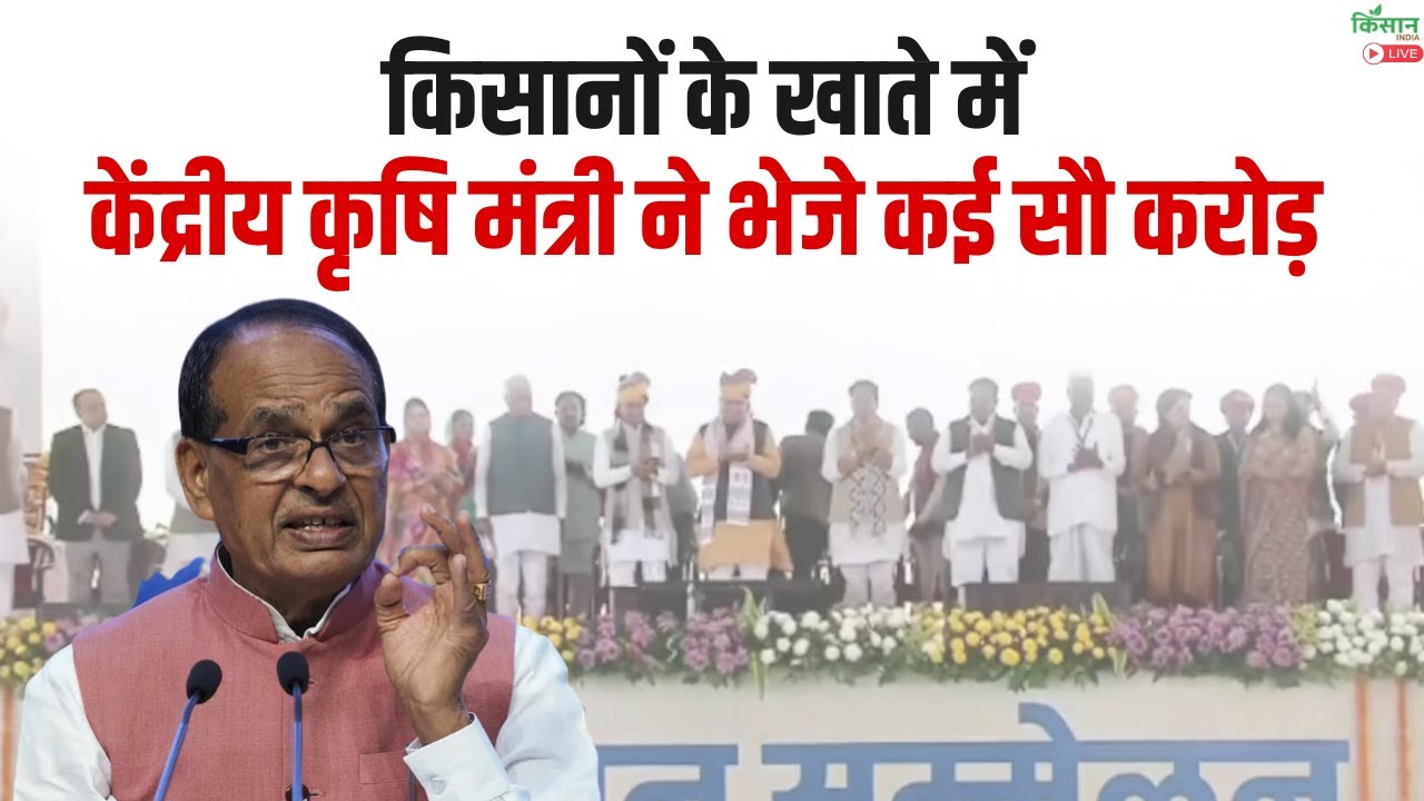 किसानों के खाते में केंद्रीय कृषि मंत्री भेजे करोड़ों रुपये | Shivraj Singh Chouhan Live