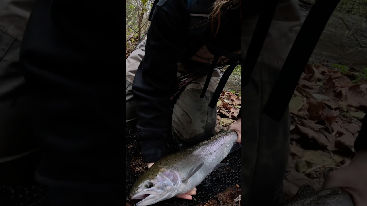 Rainbow Trout Catch and Cook #girlswhofish