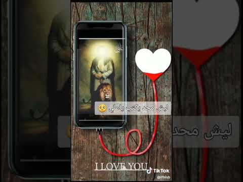 ١٣ يونيو ٢٠٢٣