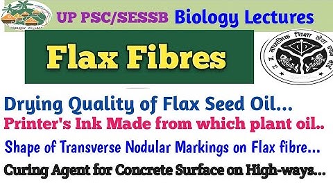 Flax fibres Based MCQs: Linseed Oil