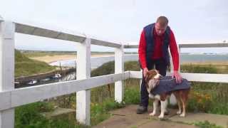 ruffwear aira jacket