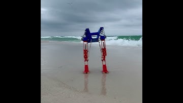 Passive Dynamic Robot Walker