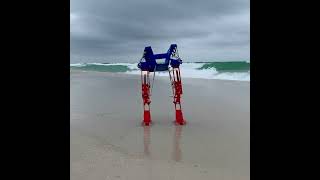 Passive Dynamic Robot Walker