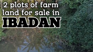 Two plots of farm land consisting Fish and pig farming for sales! by AniBusiness 139 views 5 months ago 3 minutes, 48 seconds
