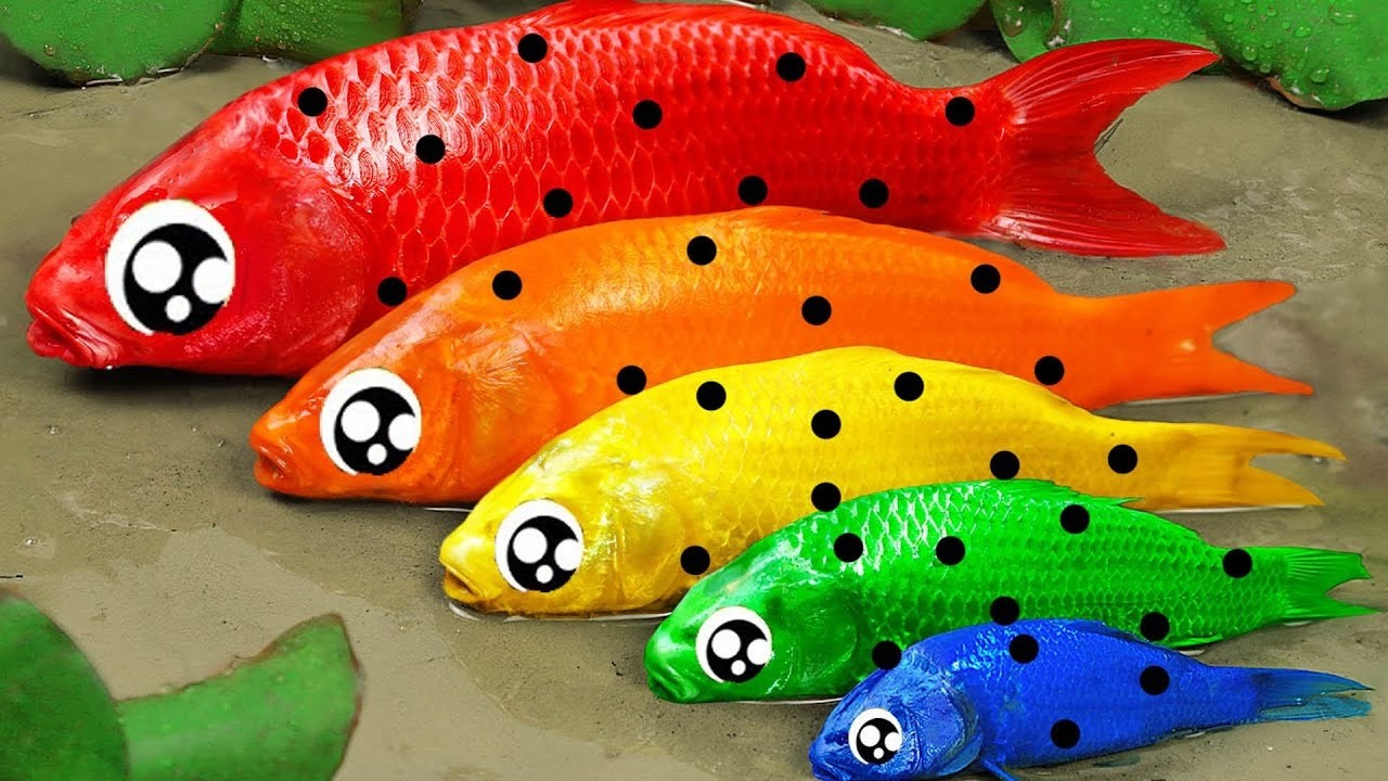 Best Of Small Fish Recipe | MINIATURE Fish Cooking Made EASY with Simple Recipe