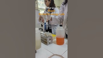 Inside Dr. B Lal Institute of Biotechnology