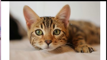 Google Slides: How to Hyperlink Word Art and Shapes