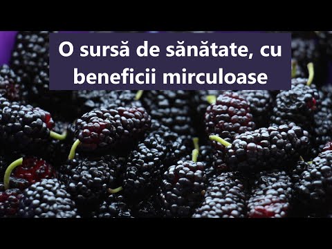 Video: Mulberry - Proprietăți, Beneficii, Recenzii, Valoare Nutrițională, Vitamine