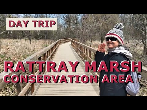 Rattray Marsh Conservation Area, Mississauga, Ontario