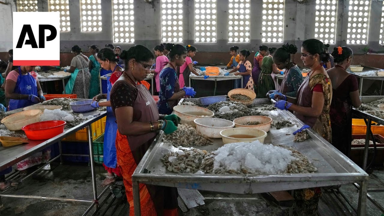AP documents grueling conditions in Indian shrimp industry