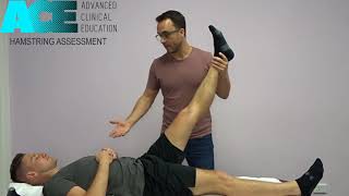 ACE Hamstring Assessment