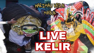 LIVE Macan Mabuk Keblak-keblak Jaranan Restu Budoyo Grogol Kalipuro Banyuwangi di kelir Pandemi 2021