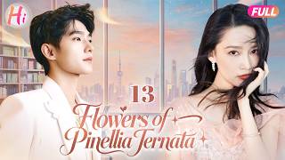 【Multi-sub】EP13 | Flowers of Pinellia Ternata| Forbidden Crush With My Step Brother| Yangyang, Liqin