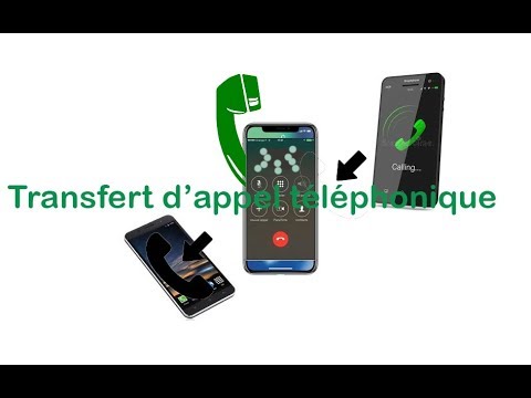 Vidéo: Comment Passer Des Appels Téléphoniques De Thaïlande Vers La Russie Plus économiquement