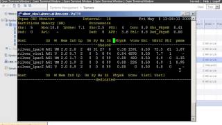 PowerVM Active Memory Sharing (AMS) part 4 Monitor