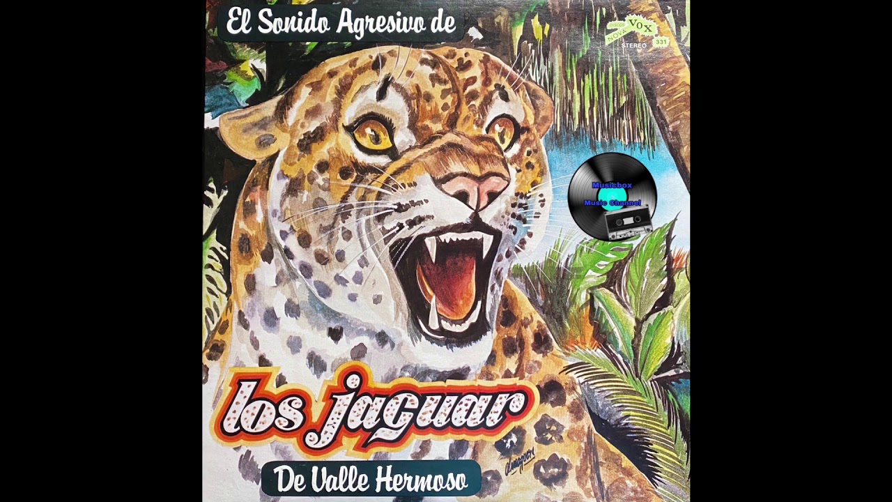 Los Jaguar De Valle Hermoso - El Sonido Agresivo De Los Jaguar De Valle Hermoso (DISCO COMPLETO))