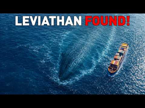 New Anomaly Appeared in the Bermuda Triangle — What Is It?